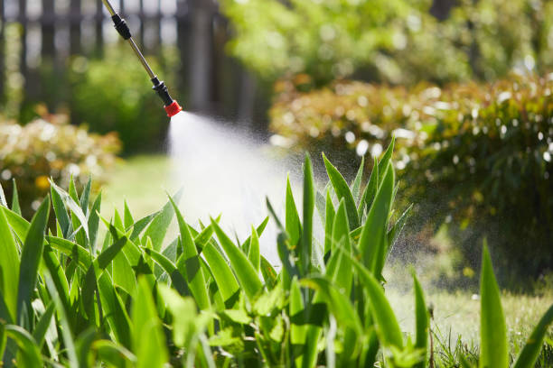 24/7 Emergency Mosquito Control experts in Shady Side, MD